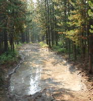 GDMBR: Last night's rain formed a few trail lakes. We had to go through.